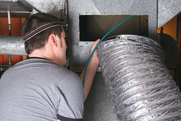 Best Home Air Vent Cleaning  in Webster, FL