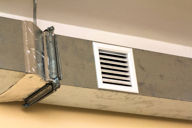 Best Emergency Air Duct Cleaning  in Webster, FL